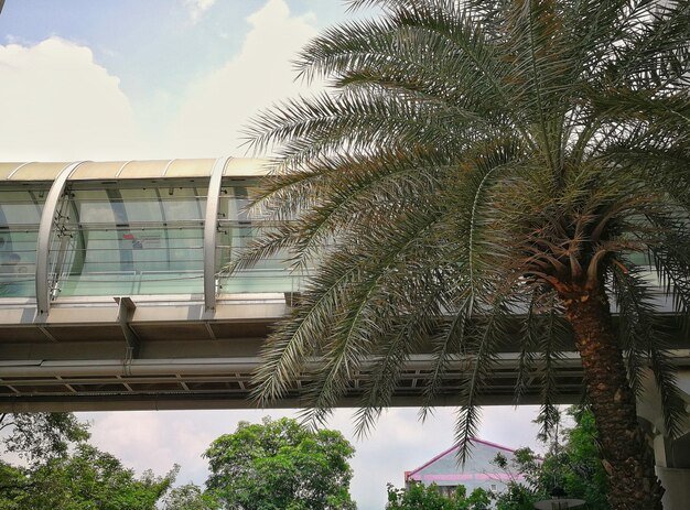 green building trend Dubai